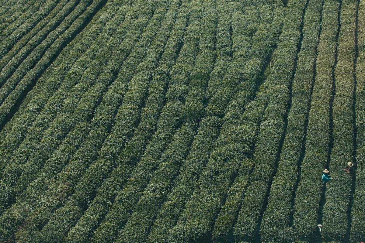 Perubahan terbaru dalam Law of the Game sepak bola musim 2025/2026