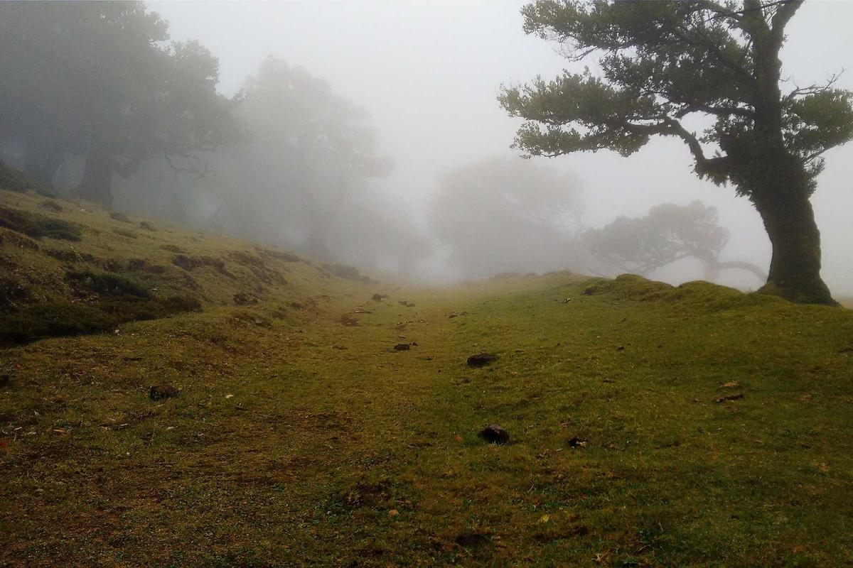 Konferensi Pers Perkenalan John Herdman Sebagai Pelatih Timnas Indonesia Digelar Senin 12 Januari 2026 Jam 10 Pagi