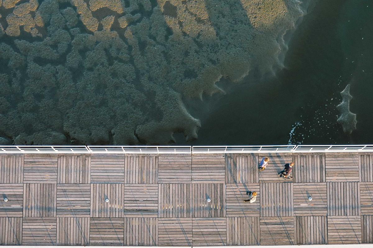 Jadwal Pertandingan Bola 16–17 Desember 2025: MU, AS Roma, dan Timnas Putri Indonesia – Berita Nasional