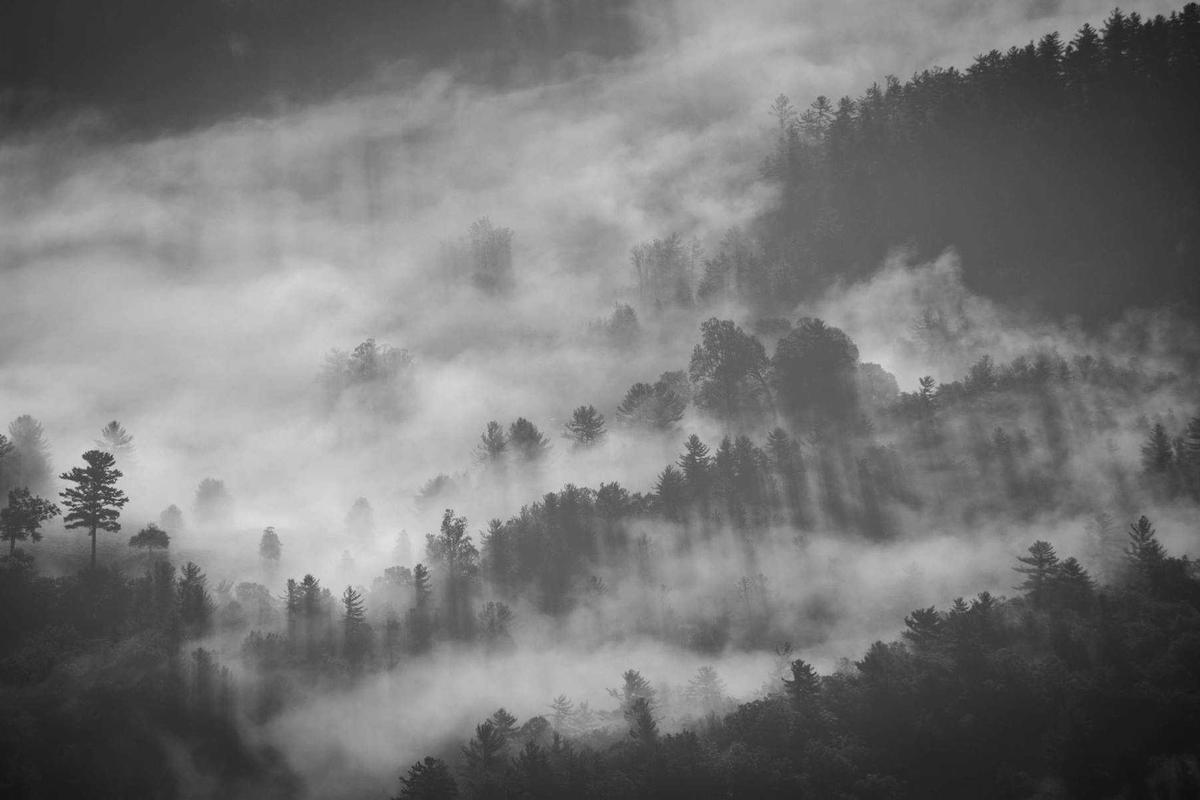 Jadwal Siaran Langsung Sepakbola TV Indonesia Hari Ini – Nonton Bola Live Malam Ini (Liga Inggris, Liga Champions, Liga Italia, BRI Super League / Liga 1 & Lainnya)