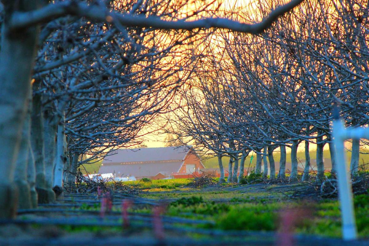 Nama-nama yang Secara Mengejutkan Dipanggil di Skuad Terkini Timnas Indonesia: Muhamad Ferarri, Elkan Baggott, hingga Ezra Walian Comeback