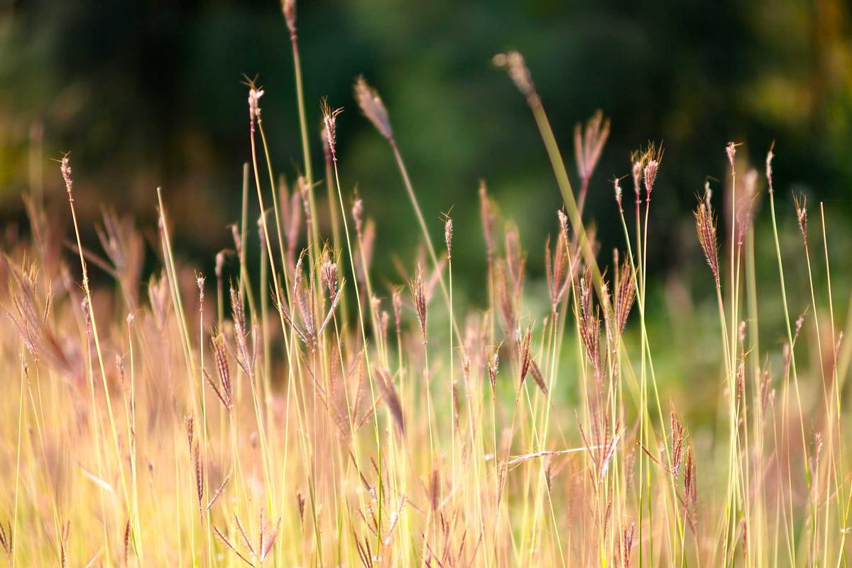 3 Tren Kickoff Baru dalam Sepak Bola